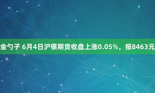 金勺子 6月4日沪银期货收盘上涨0.05%，报8463元